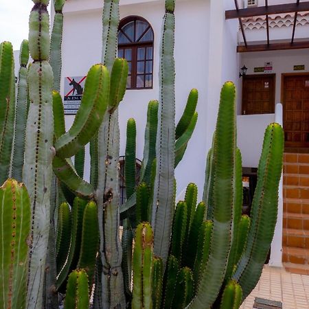 Las Bouganvillas 1 Bed Apartment In Costa Adeje Zewnętrze zdjęcie