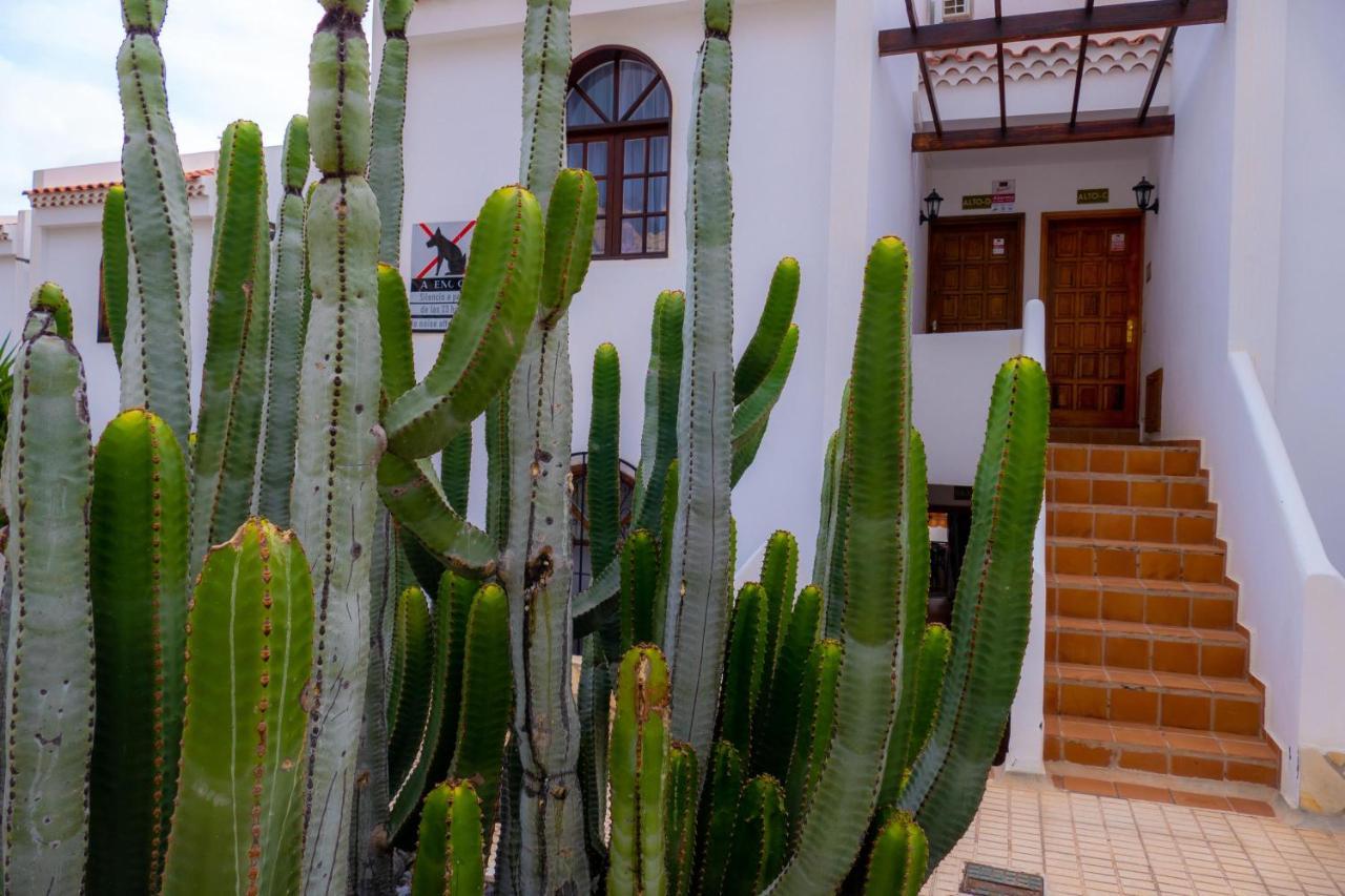 Las Bouganvillas 1 Bed Apartment In Costa Adeje Zewnętrze zdjęcie